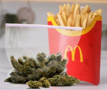Vrai ou faux? - Il y a maintenant plus de dispensaires que McDonald's en Amérique, mais le cannabis est toujours illégal au niveau fédéral ?