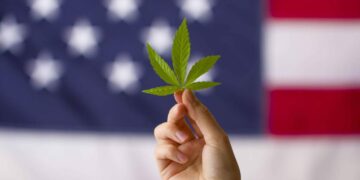 El consumo de cannabis en EE. UU. alcanza niveles récord entre los adultos: tendencias e impactos