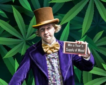 Câștigă iarbă gratuită pentru un an - Găsește bilete pentru Willy Wonka Golden Cannabis sau creează un videoclip grozav cu tematică de canabis!