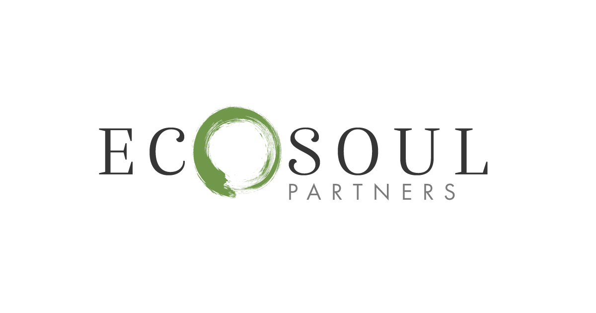 3 Bits – 苏打水、水泥和太阳能 - 市场驱动的行动 - EcoSoul Partners - 企业气候行动
