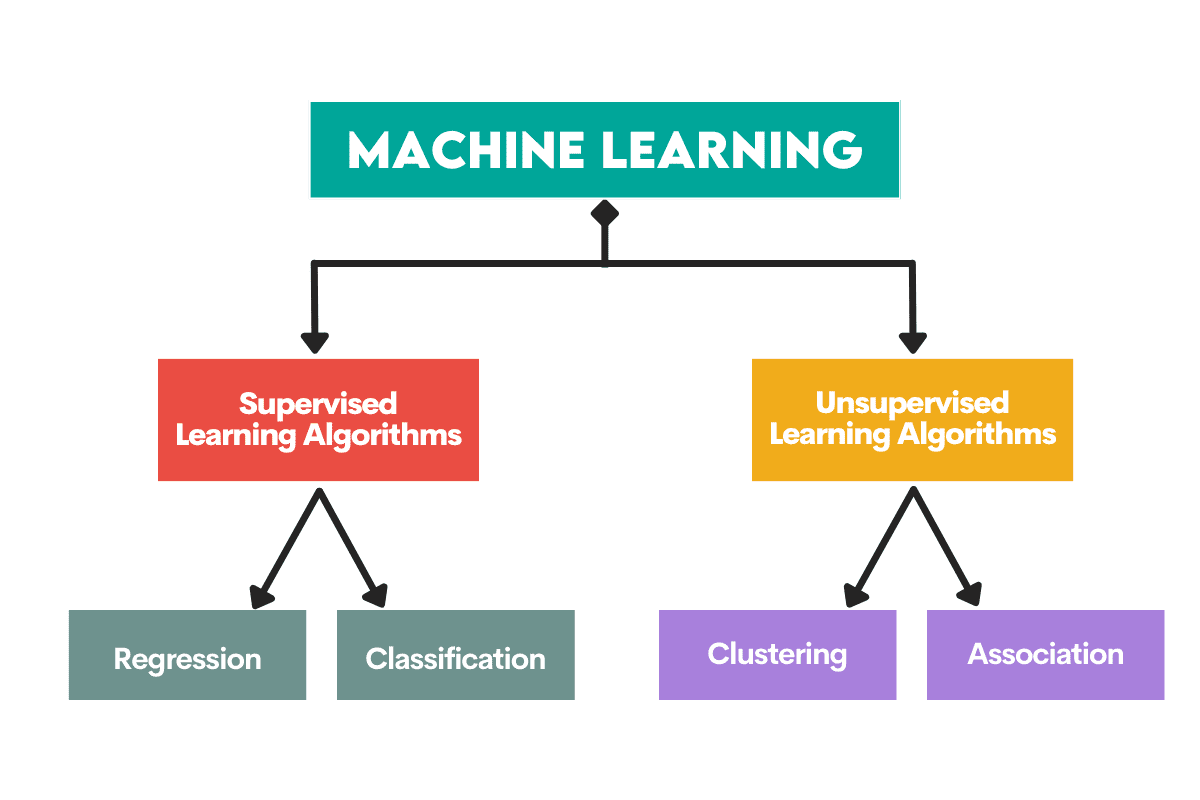 A Beginner's Guide to the Top 10 Machine Learning Algorithms
