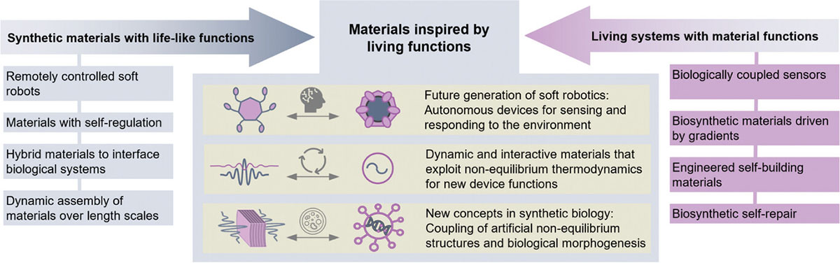 General concepts in approaching life-inspired materials from synthetic and biological perspectives