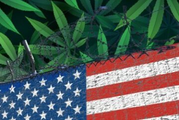 Amerika kann seine Grenze nicht verteidigen, weil Grenzschutzbeamte zu viel Gras rauchen? - GOP-Senator schlägt zu!