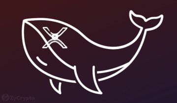 10ドルのXRP価格の夢の中で、クジラが500億近いXRPの動きで投機を引き起こす