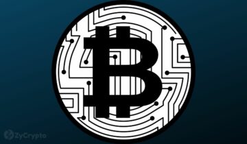 Analytiker behandler bekymringer over langsigtede indehavere, der dumper bitcoins på børser