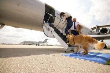 Bark Box goes into the airline business as Bark Air