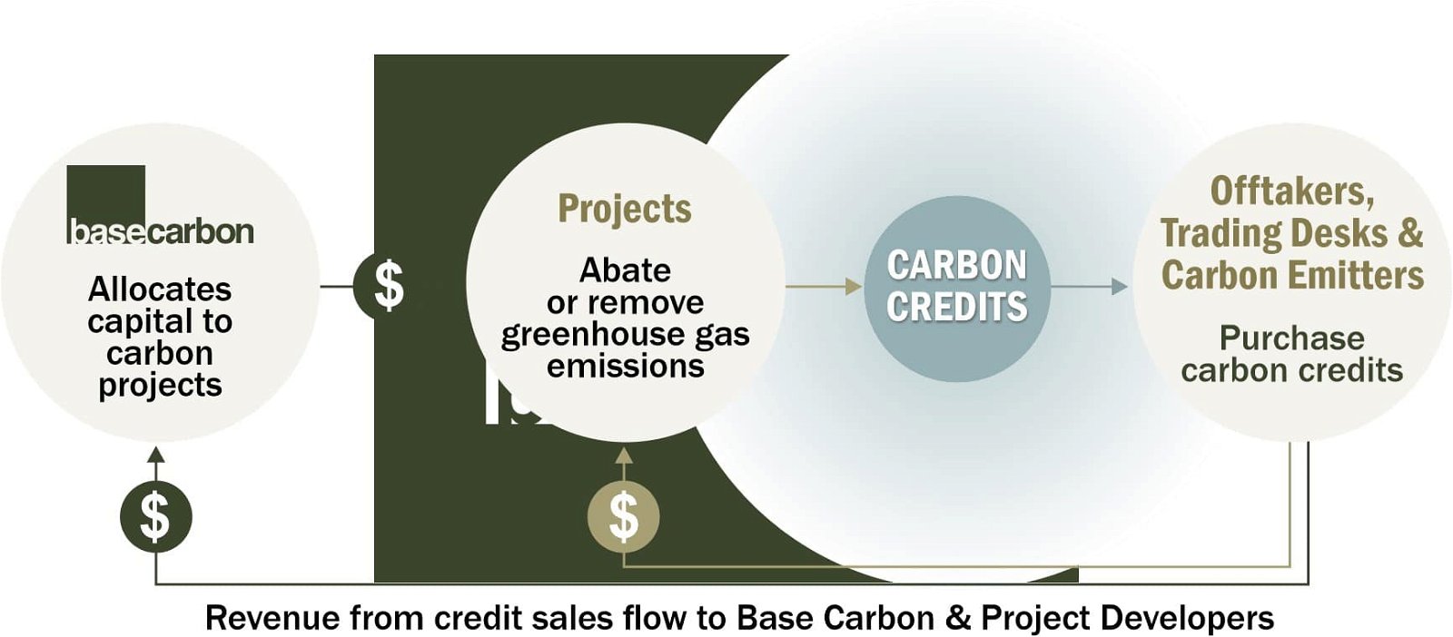 Business Model Base Carbon