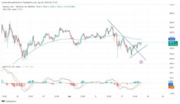 BNB Resilience: Holding Firm At $560 - What's Next?