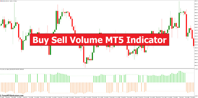 Buy Sell Volume MT5 Indicator
