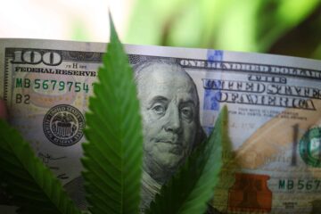 California County vurderer reduksjon i skatt på cannabisdyrking
