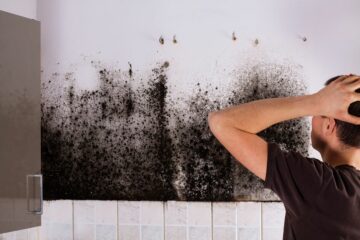Can You Sell a House with Mold?
