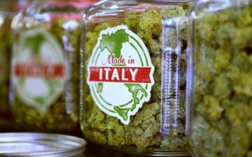 Cannabisbestämmelser i Italien: juridiska insikter och historisk översikt