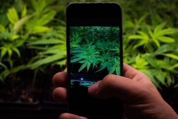 Законопроект Колорадо про заборону соціальних медіа MJ, повідомлення про наркотики викликають конституційні занепокоєння