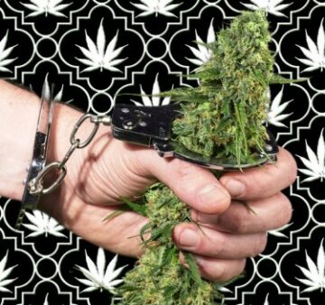 Криміналізація канабісу взагалі не працює - використання марихуани однаково в легальних і нелегальних державах. Нове опитування Gallup показує