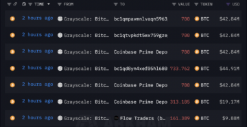 I mercati delle criptovalute crollano mentre Grayscale invia Bitcoin per un valore di oltre $ 245,000,000 a Coinbase - The Daily Hodl