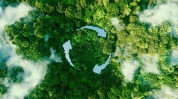Día de la Tierra: por qué las marcas luchan por registrar marcas verdes en el sudeste asiático