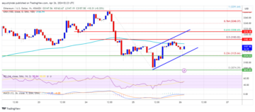Ethereum Price Faces Crucial Test: Will $3,200 Withstand The Pressure?