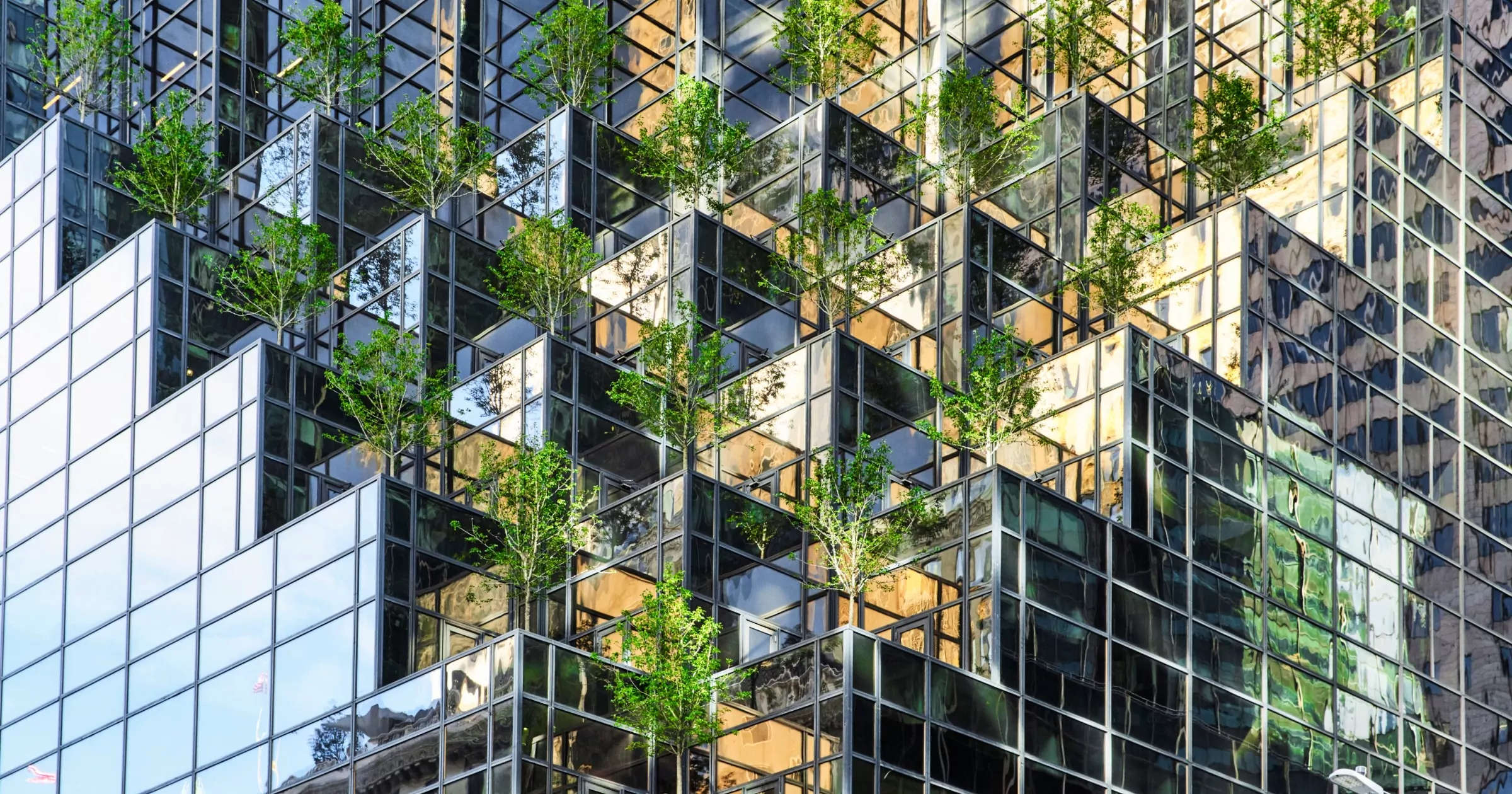 Mirrored office building with trees