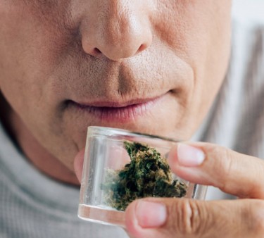 SMELL YOUR CANNABIS BEFORE YOU BUY IT