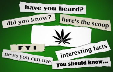 thinks to know before buying weed