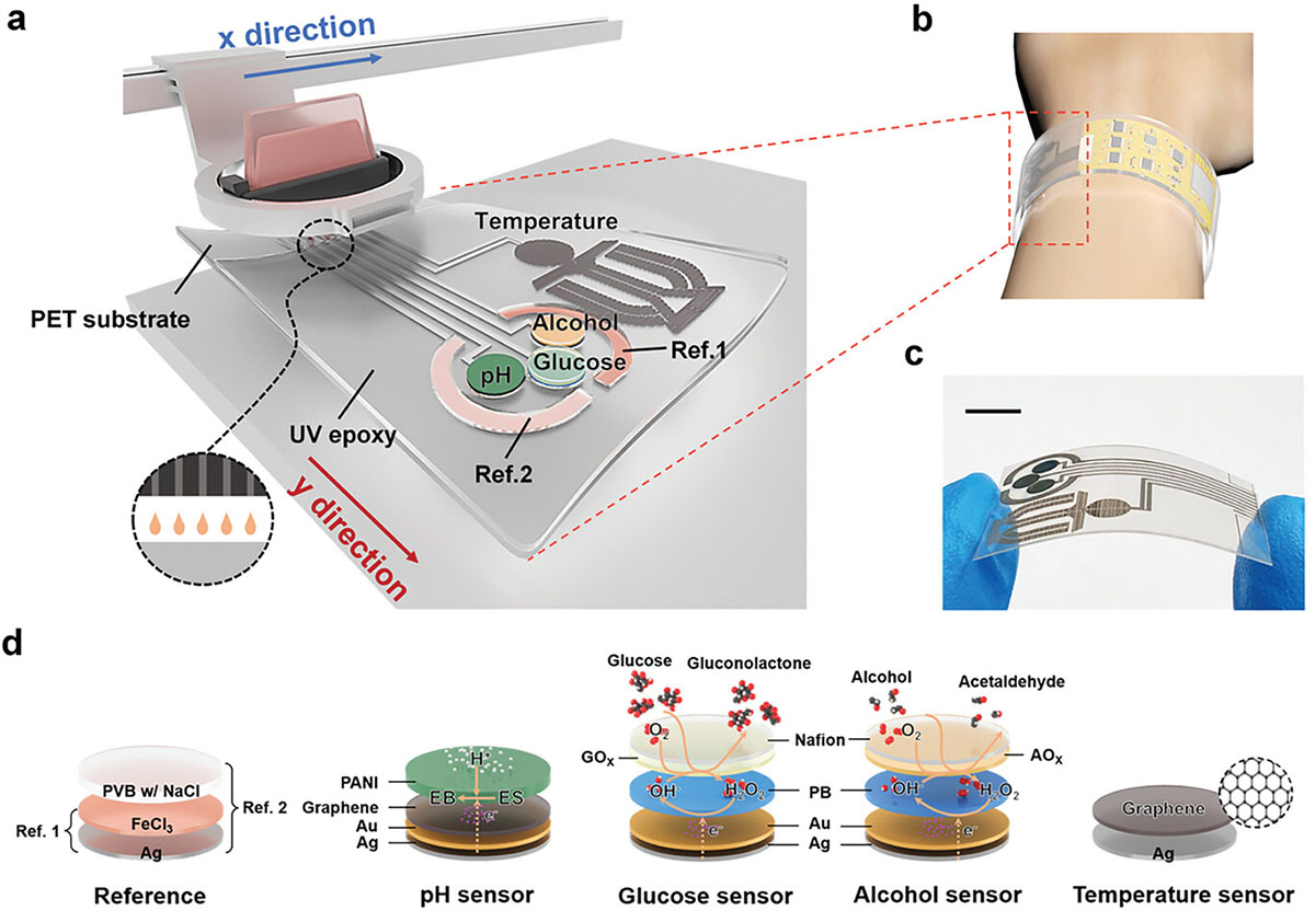 Fully printed wearable biosensor tracks glucose, alcohol, pH and temperature in sweat
