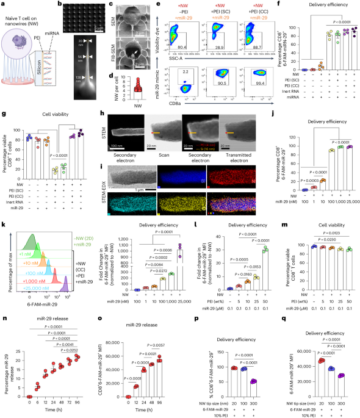 naive T 세포의 miRNA 매개 치료 프로그래밍을 위한 기능화된 나노와이어 - 자연 나노기술