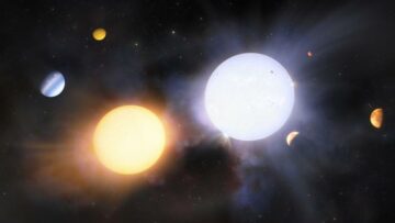 双子座南揭示了巨型双星意想不到的差异的起源