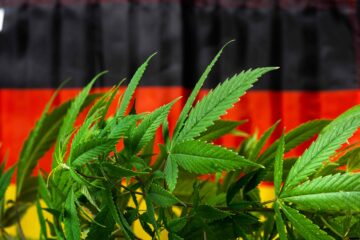 German legalization gets underway with first 4/20