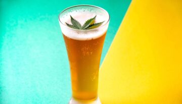 德国官员考虑在啤酒节上禁止大麻