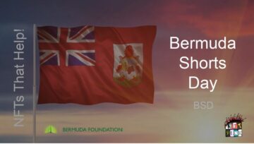 Bermuda Şort Gününüz Kutlu Olsun, Web 3 Stili!