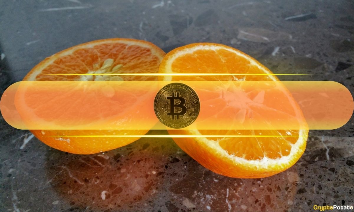 Laut CryptoQuant ist dies der Grund, warum die Wirkung der Bitcoin-Halbierung nachlässt