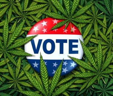 Jag röstar med min bong - Enkäten säger att cannabisfans inte bryr sig om du är republikan eller demokrat, de röstar om legalisering av potten