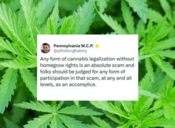 Hvis du ikke kan dyrke det, er det ikke lov! - Hvorfor amerikanere føler så sterkt for retten til å dyrke sin egen cannabis