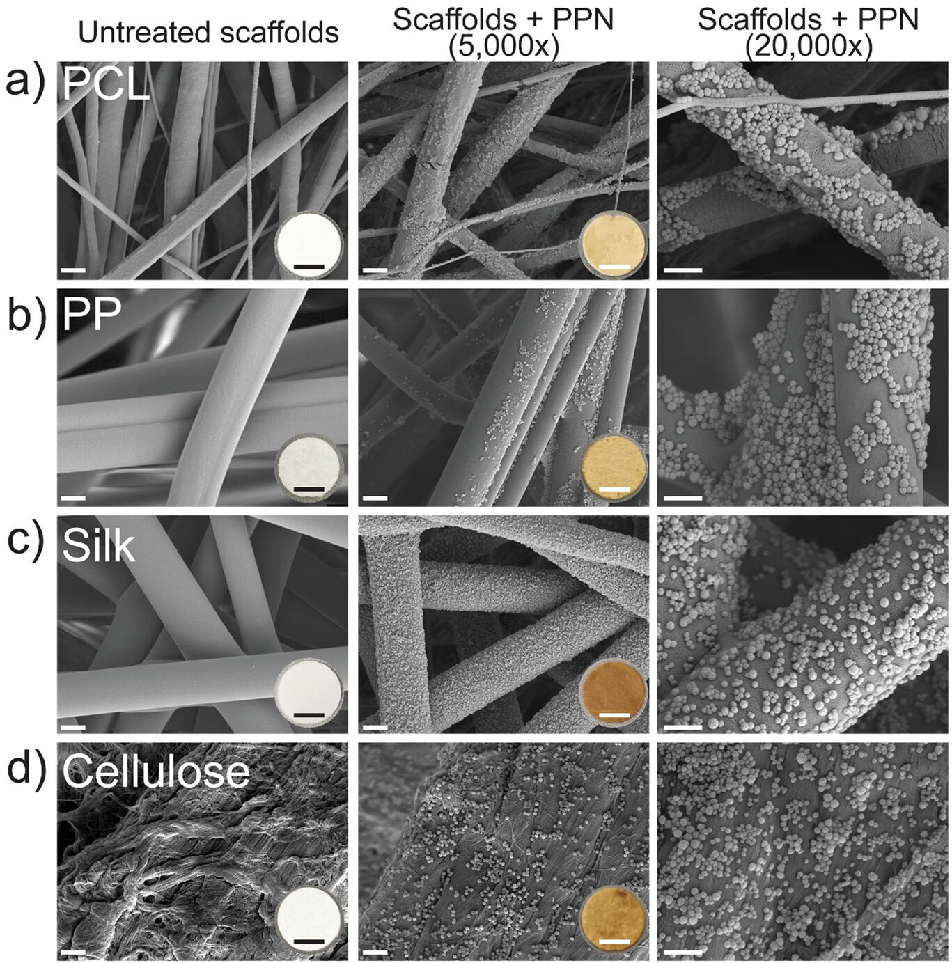 electrospun fibers with plasma polymerized nanoparticles
