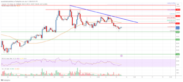 Litecoin (LTC) Price Analysis: This Support Holds The Key To Fresh Increase | Live Bitcoin News