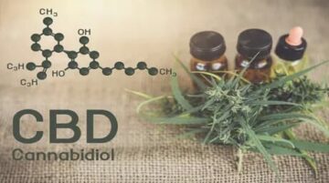 Prepare aceite de CBD en casa: la guía definitiva de un bioquímico hippie