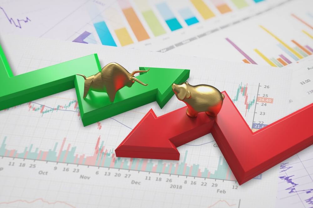 Navigating Bull and Bear Markets: Investor Strategies