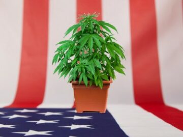 最新のハリス世論調査によると、アメリカ人の60％近くが現在、自宅で合法的に大麻を栽培する権利があるべきだと考えている