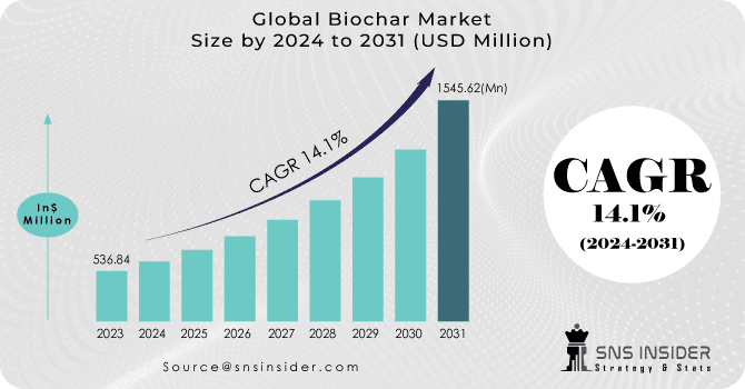 Dimensione del mercato globale del biochar 2024-2031