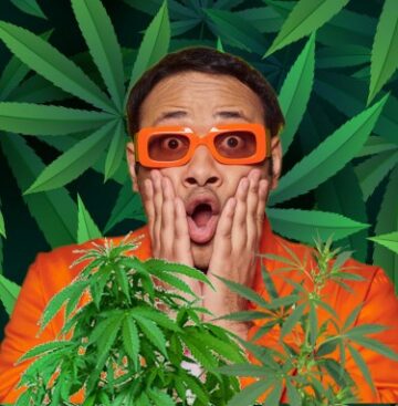新的三倍体大麻植物可能会彻底改变大麻产业——更强、更大、更短的生长时间