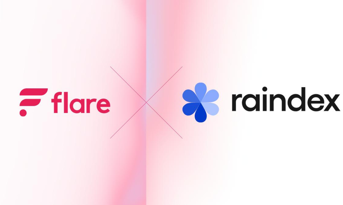 Raindex Launches on Flare To Power Decentralized CEX Style Trading - The Daily Hodl
