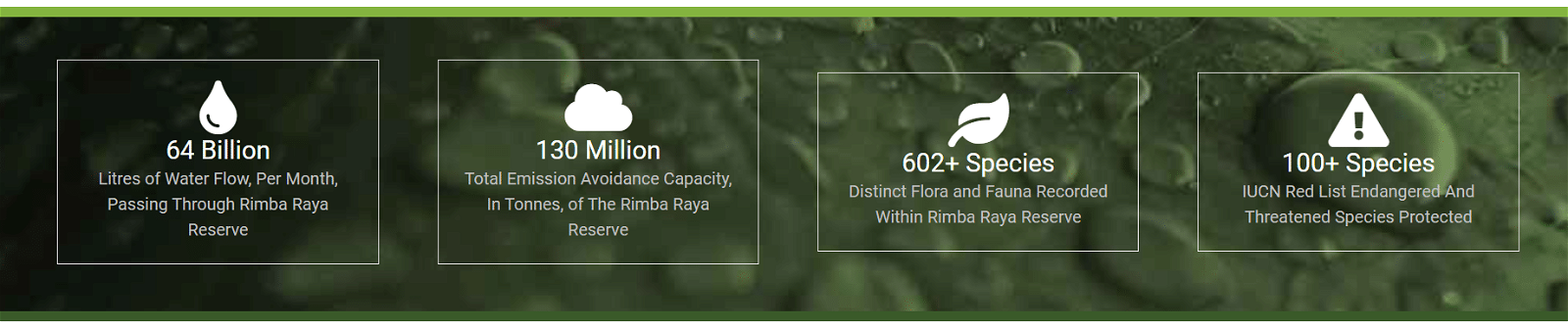 Rimba Raya REDD+ Project Revocation Rattles Carbon Market