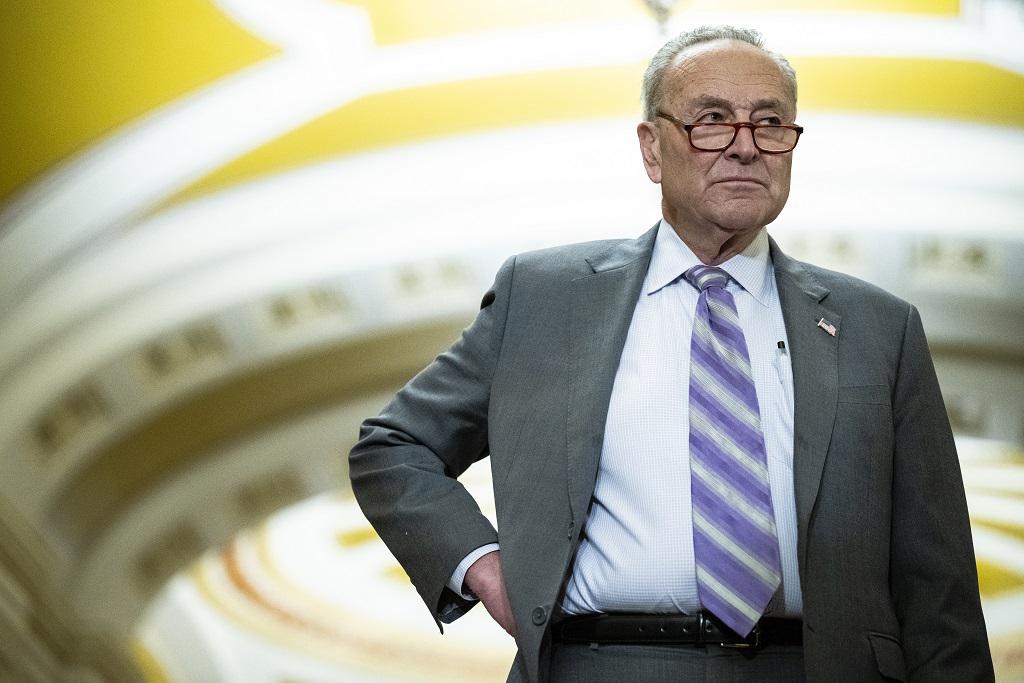 Schumer Advocates For Cryptocurrency - CryptoInfoNet