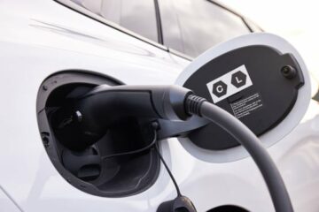 Sluggish private new car market and shrinking EV demand signal challenges for 2024