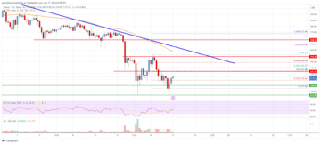 Solana (SOL) Price Analysis: Price Dips 50%, Can It Recover? | Live Bitcoin News