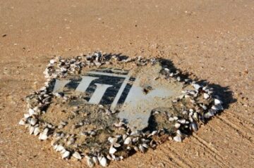 The Hunt For MH370 Goes On With Barnacles As A Lead