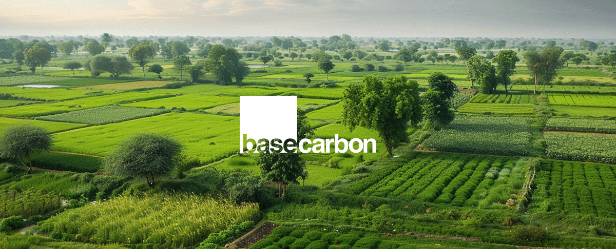 The public companies transforming sustainability_Landscape view of rural farmlands in the northern Indian state of Uttar Pradesh_visual 3