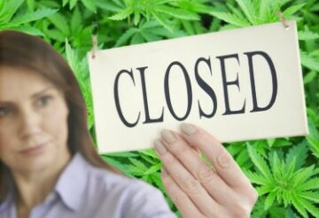 Probeer je vol te houden tot schema 3? - Waarom zoveel cannabisbedrijven momenteel moeite hebben om open te blijven!