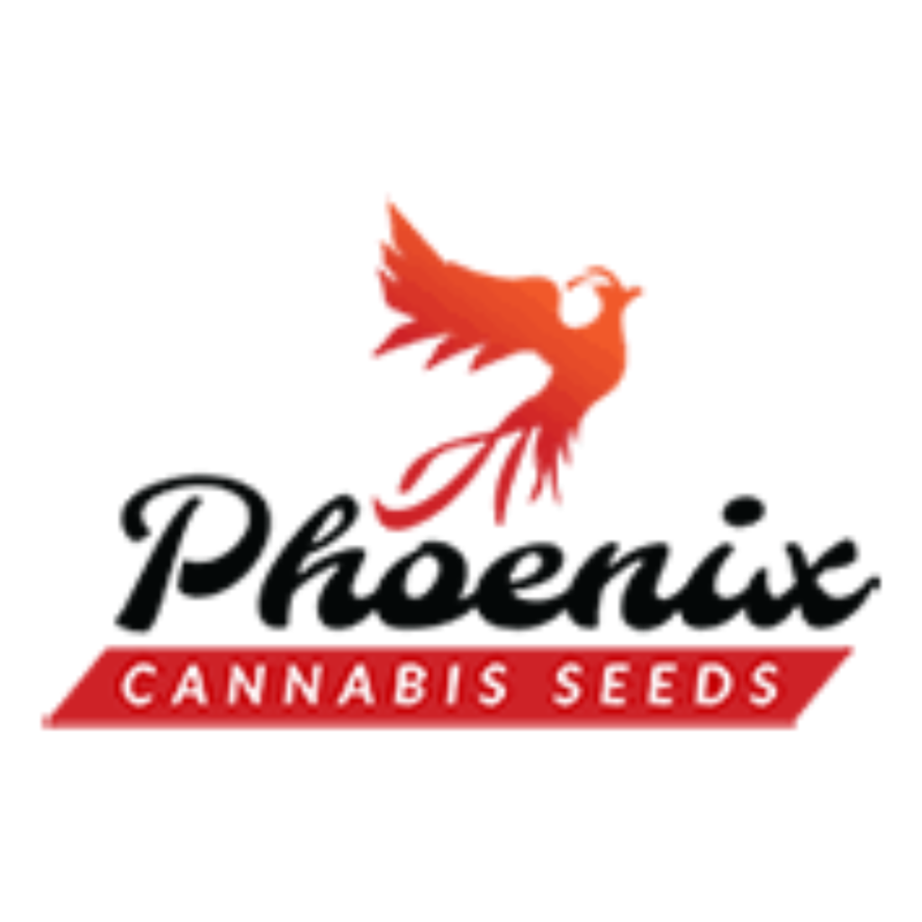 Phoenix Cannabis Seeds (Instagram Post) (7)