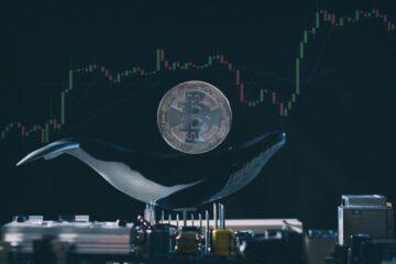 Whale provoacă agitație prin transferul de 77.67 milioane de dolari către Kraken pe măsură ce prețul Bitcoin scade - CryptoInfoNet